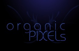 Sizzle ReelHighlights Of My Video Work